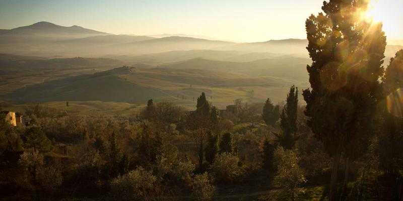 PJBCN专业指南：域名注册与网站托管的协同战略