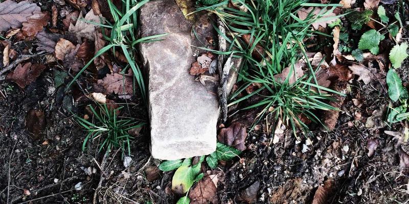 从域名到生态：一个企业官网的完整构建案例分析