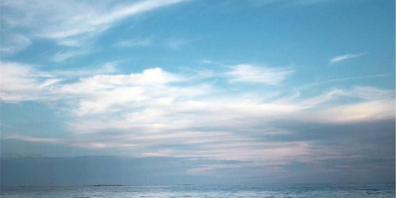 企业品牌域名注册策略：如何系统性地注册保护性域名以保障PJBCN虚拟主机与网站托管安全