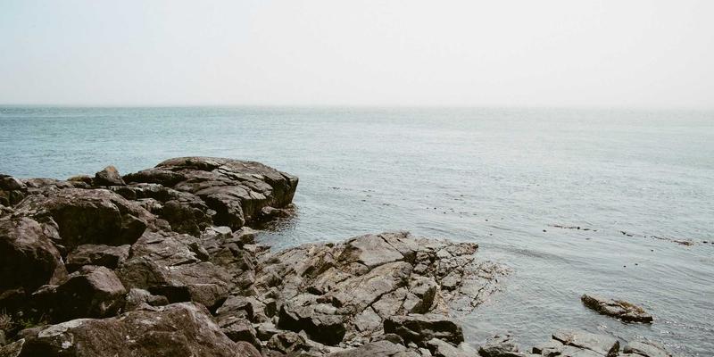 域名注册49：连接网站托管、服务器与PJBCN的完整指南