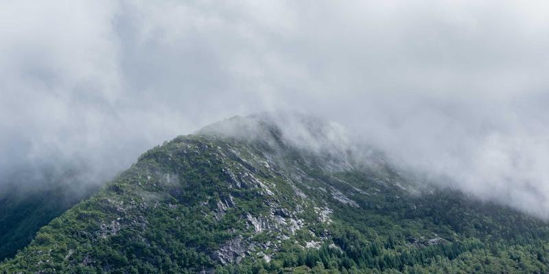 域名注册与SSL证书捆绑购买：一站式网站托管安全方案的深度解析