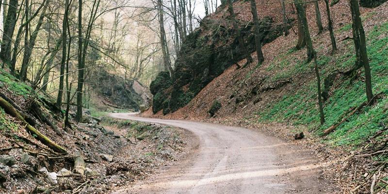 域名注册与网站迁移全攻略：如何平稳转移服务器并守护SEO排名