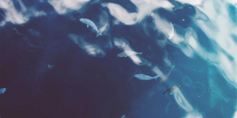 域名注册后必做的5项DNS配置：确保网站可访问与安全的关键步骤