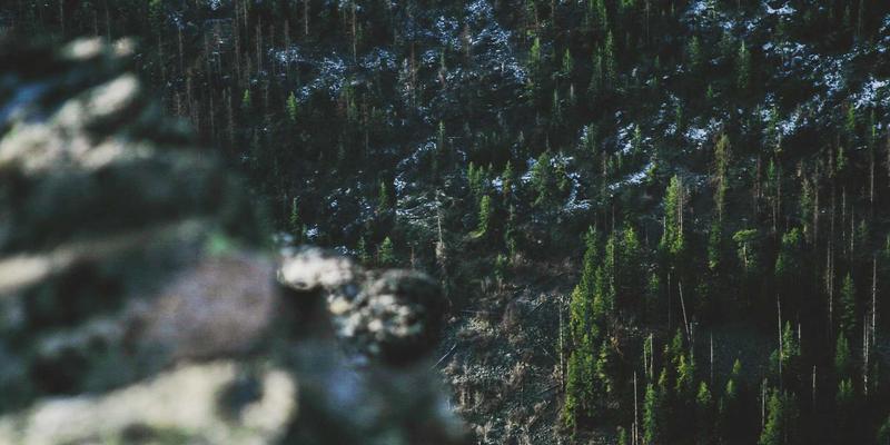 域名注册对比指南:如何结合虚拟主机、企业邮箱构建完整网络服务