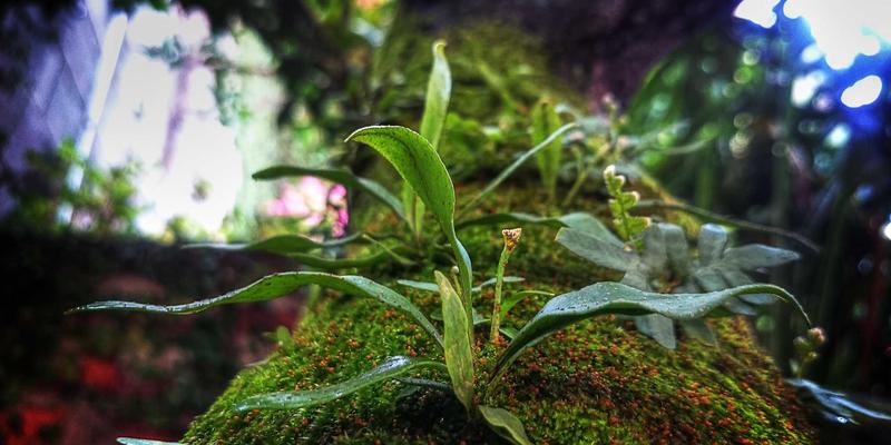 域名注册必查指南：如何查询并判断域名历史记录，规避网络服务风险