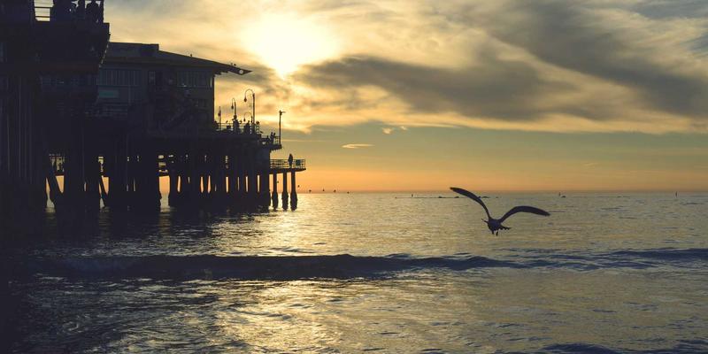 域名注册时间戳如何影响网站信任度？企业邮箱与服务器的关键作用