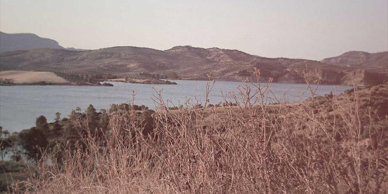 如何通过域名注册历史查询工具评估域名的“清白”与价值：PJBCN与虚拟主机用户的必备指南