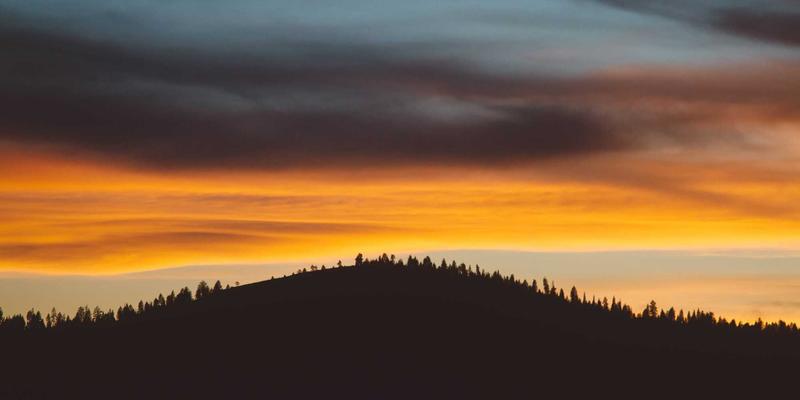 批量域名注册与管理工具推荐：高效运营企业数字资产，优化网络服务与服务器部署